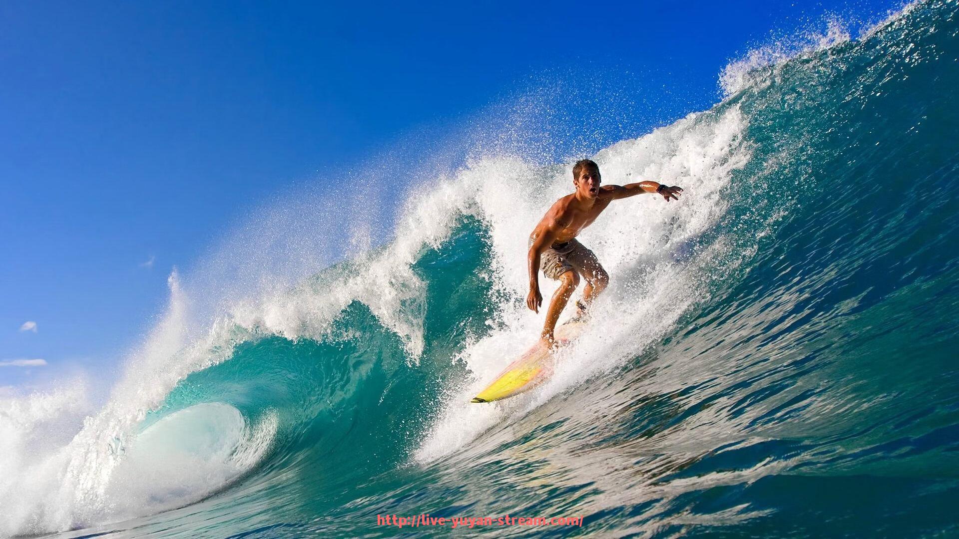 雨燕直播-哪种健身器材更适合提臀训练?有效推荐