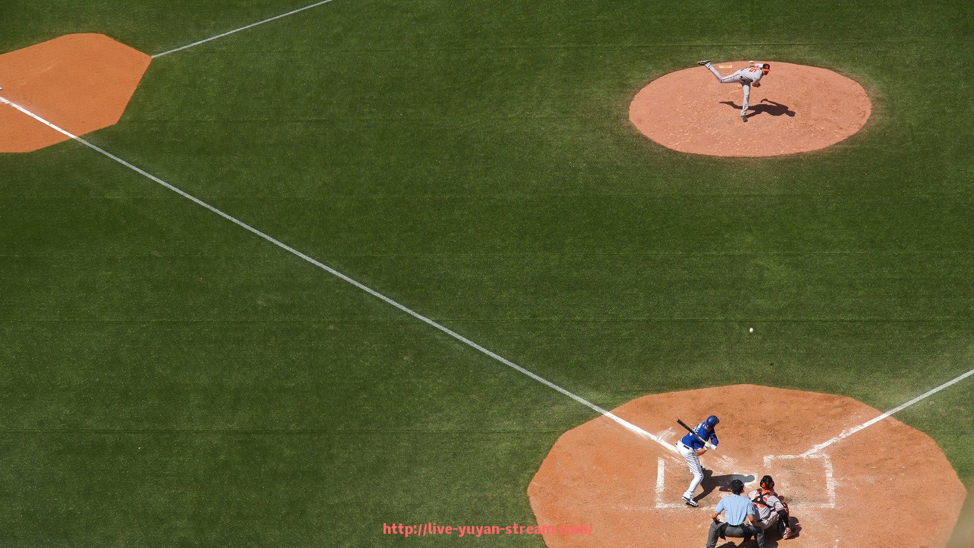 雨燕直播-郑州健身器材供应市场现状及优质品牌推荐