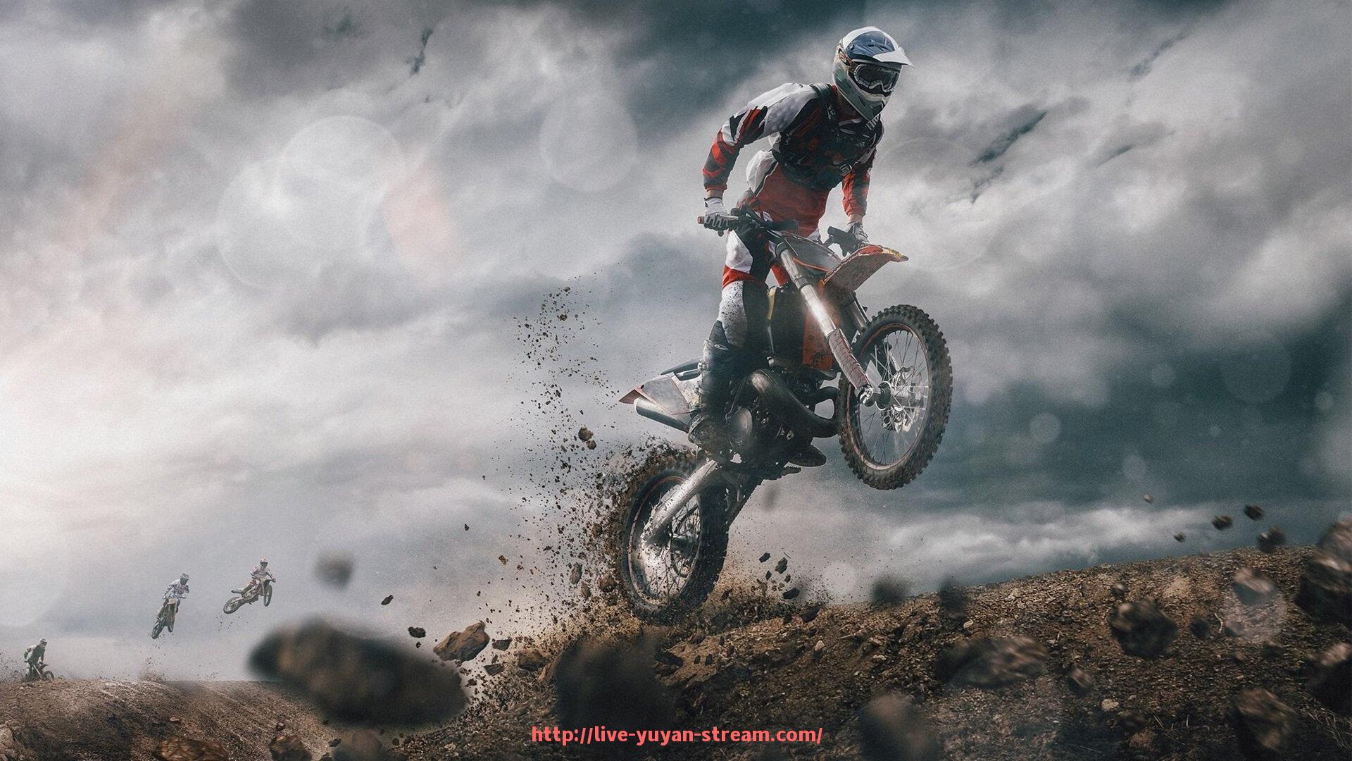 雨燕直播-南宁健身器材供应商及市场概况：南宁地区健身器材供应商及市场趋势